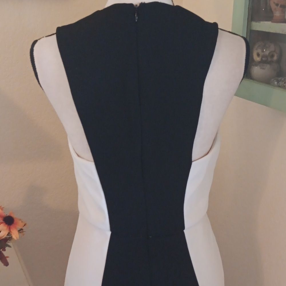 Alexia Admor Colorblock Dress - Picture 9 of 15
